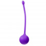 Фиолетовый металлический шарик с хвостиком в силиконовой оболочке (Erokay EK-1701 фиолетовый)