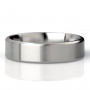 Матовое стальное эрекционное кольцо Duke - 4,8 см.
