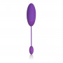 Фиолетовое беспроводное виброяйцо Silhouette S4 