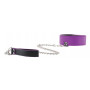 Чёрно-фиолетовый двусторонний ошейник с поводком Reversible Collar with Leash